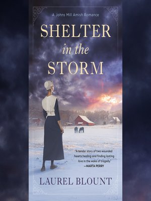 Shelter in the Storm - Audiobook